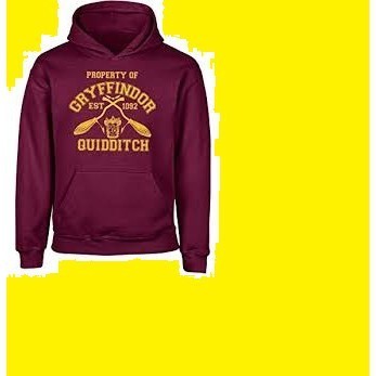 hoodie harry potter gryfindor quidditch