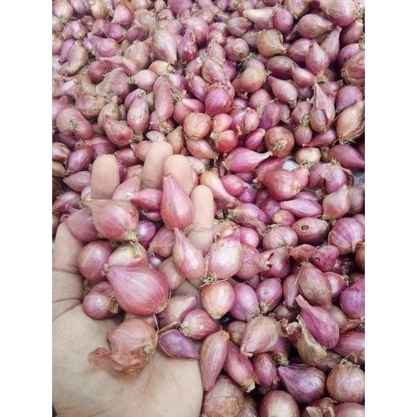 

Bawang Merah Kecil ( 1 Kg ) Asli Nganjuk Ulala