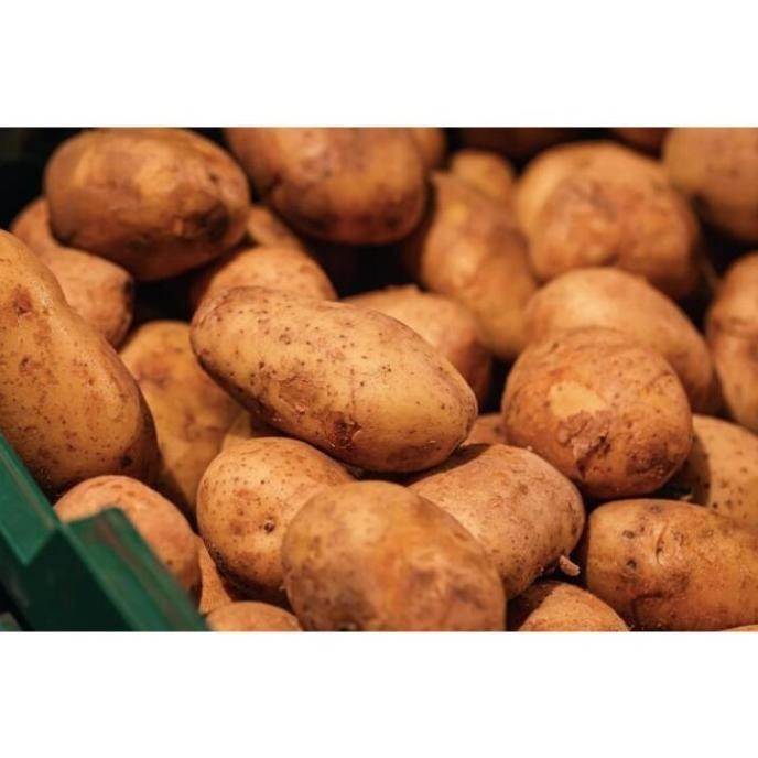 

TERLARIS Kentang Dieng Super Medium 25 Kg Fresh Dari Petani - Shuffel MURAH