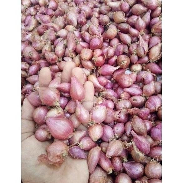 

TERMURAH Bawang Merah Kecil 500 Gr Asli Nganjuk - Shuffel BAGUS