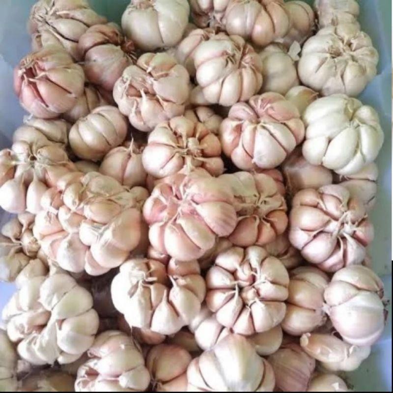 

Bawang Putih Sico 1/2Kg Promo Murah Meriah Arjuna