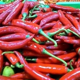 

Cabe Merah Besar 150 Gr Fresh Dari Petani Abadi