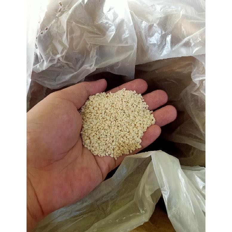 

BN Wijen Putih Import 500gr 1/2kilogram Sesame Seeds Premium Quality Fresh TERLARIS