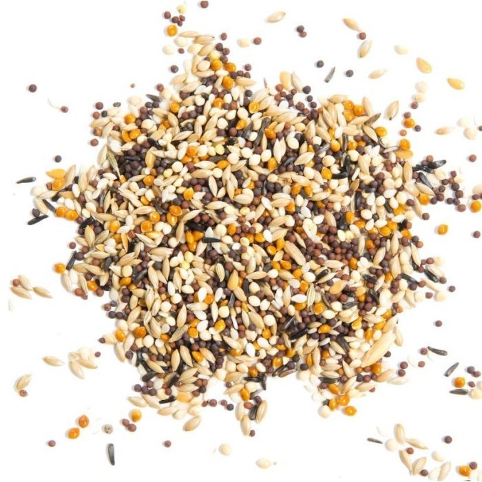 Wachsen Pakan Burung Kenari Smart Choice Royal Canary