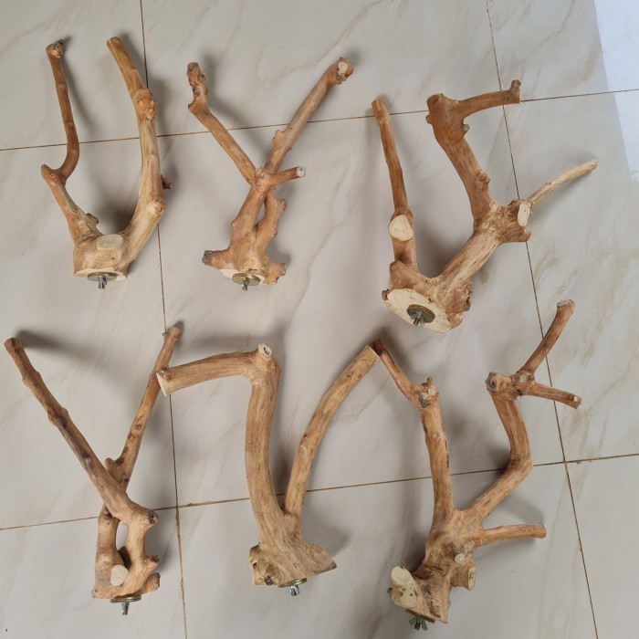 Tangkringan Kayu Kopi