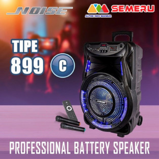 cusss order] NOISE SPEAKER 12" 899