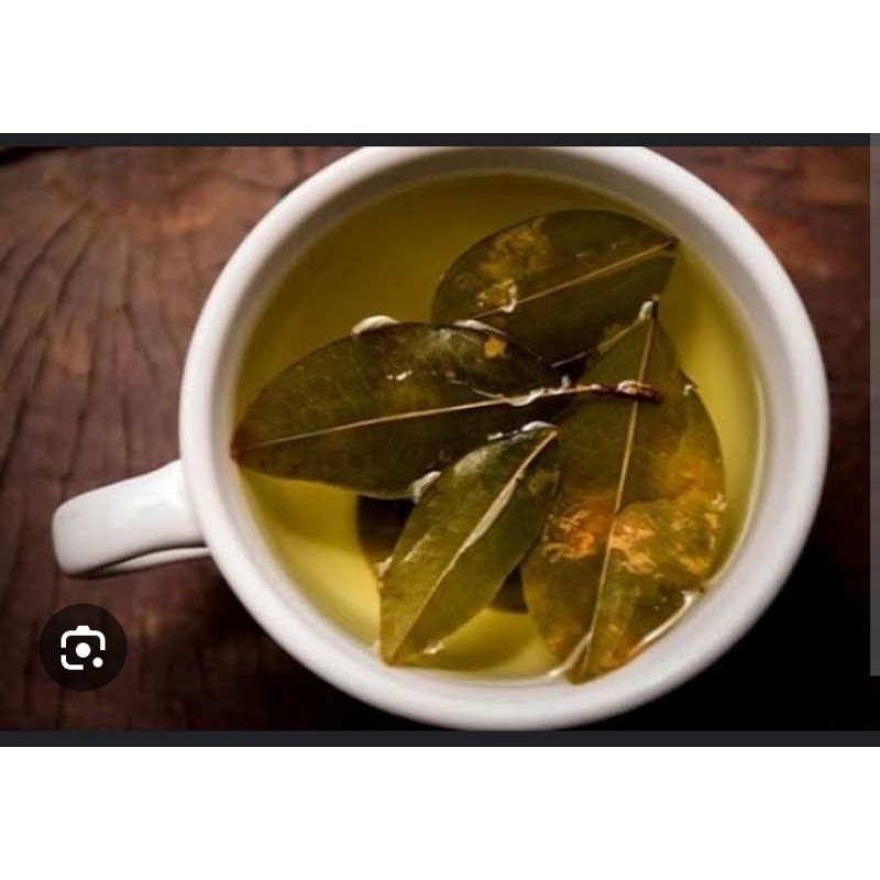 

Jual daun hijau dari tanaman tumbuhan botani SALAM 1 kilogram FRESH SEGAR untuk herbal mencegah kanker,mengelola kadar gula asam urat diabetes dll ⭐⭐⭐⭐⭐