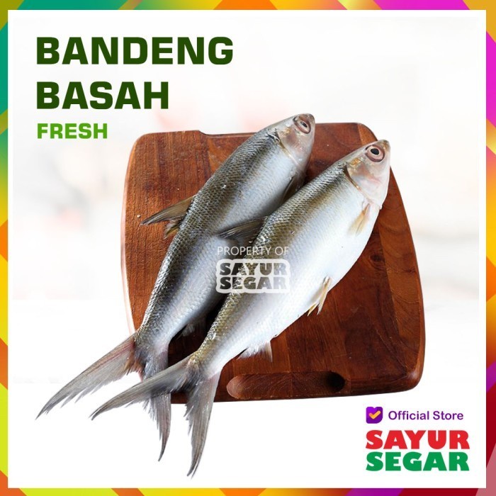 

[CIBUBUR] IKAN BANDENG [500g] FRESH