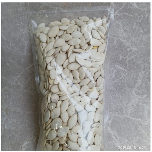 

Aneka Celan Aci Biji Labu Putih Besar/Kuaci Biji Waluh Putih