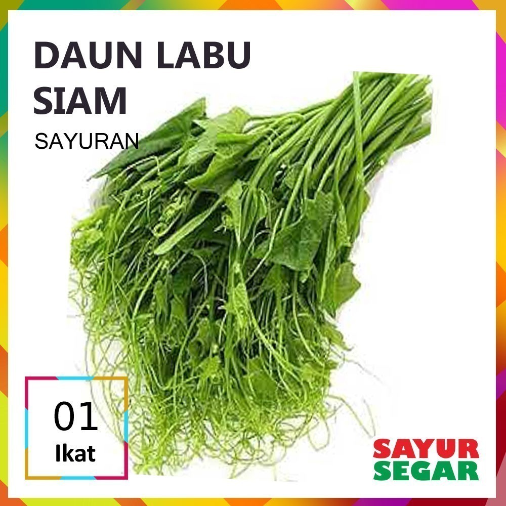 

Daun Labu Siam 1 Ikat Fresh