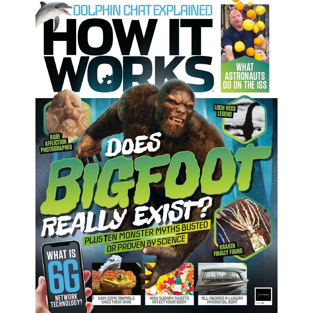 

How It Works - Issue 183 (Sains / D)