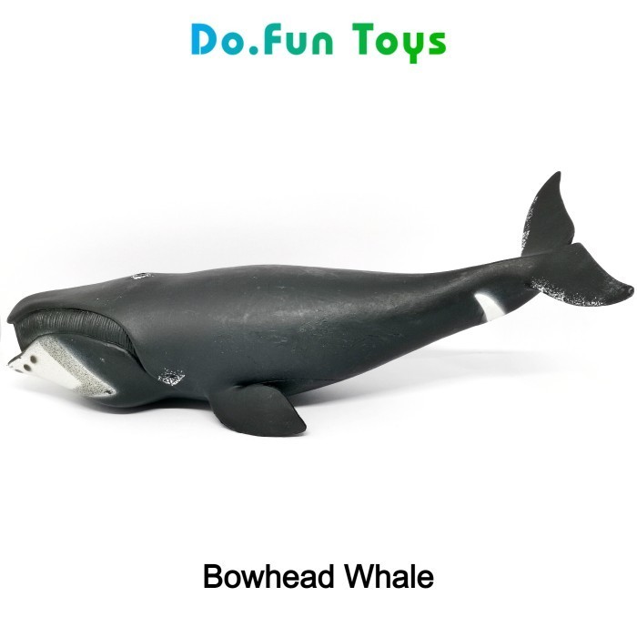 Cabre Bowhead Whale Animal Figure / Miniatur Ikan Paus Kelapa Busur
