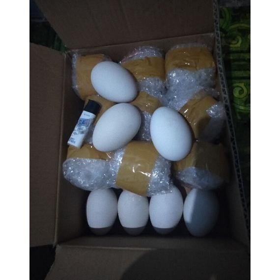 

sa-324 TELUR ANGSA MENTAH FRESH Termurah