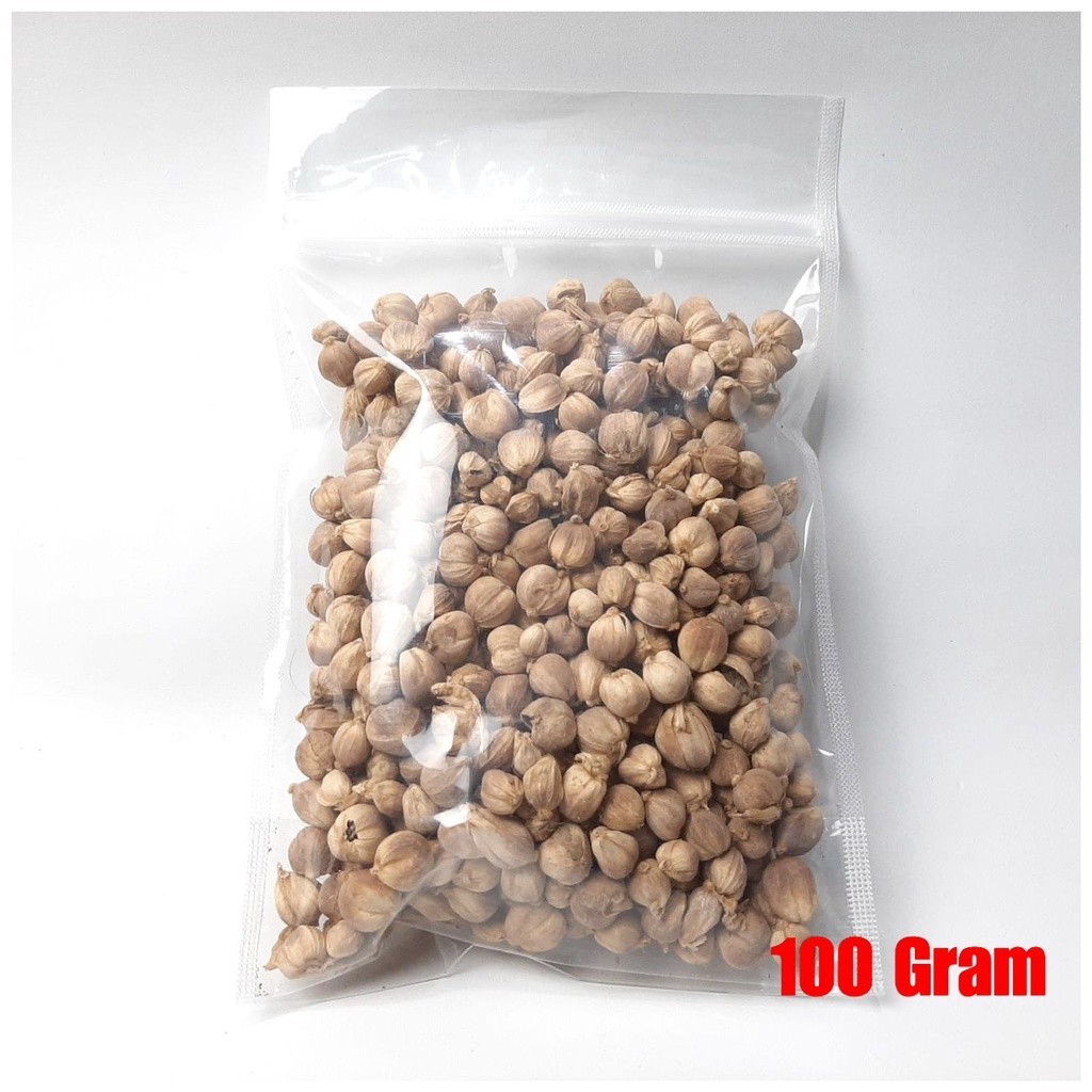 

Kapulaga Kering 100 gr | Kapolaga Kering | Bumbu Rempah | Obat Herbal 100% Kwalitas Terjamin Isi 100 Gram