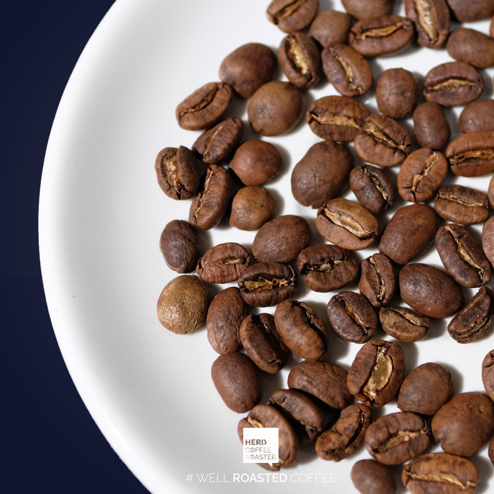 

Kopi Gayo Orange Single Origin Manual Brew Filter Coffee