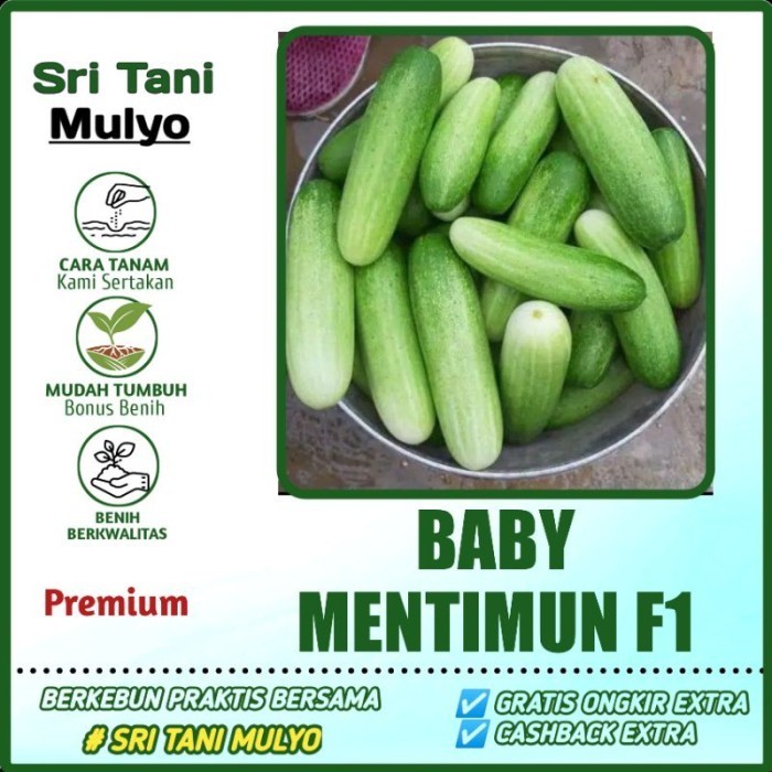 13 Biji - Benih Timun Baby - BABY MENTIMUN 007 F1 - Panah Merah Bibit