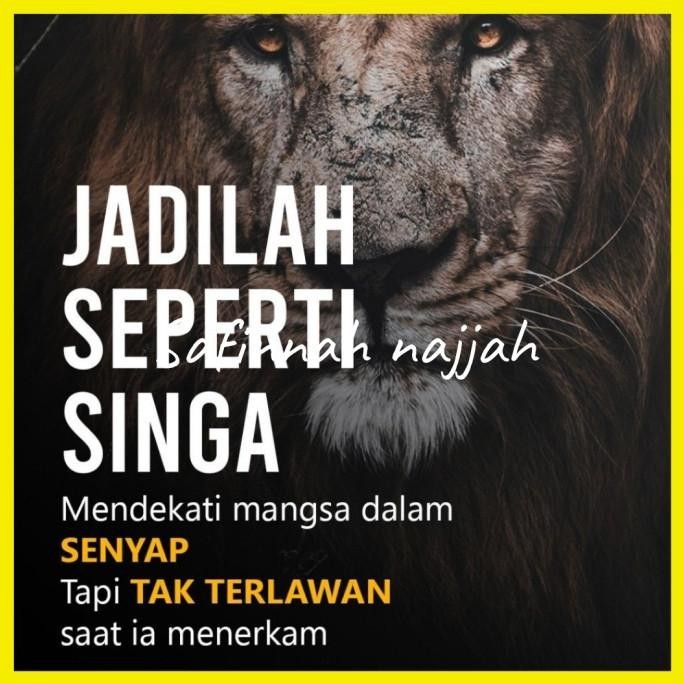 [Ready] Buku How To Raise A Lion By Mardigu Wowiek