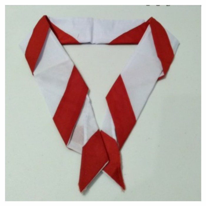 

TERBARU kacu dasi hasduk pramuka perlengkapan anak sekolah SD SMP SMA