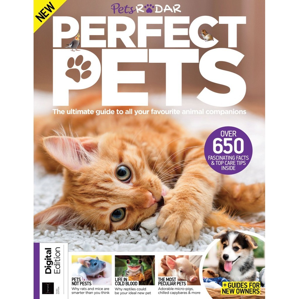 

World of Animals - Perfect Pets (Third Edition / D)