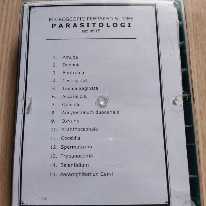 [Ready] Preparat Parasitologi 15 Macam