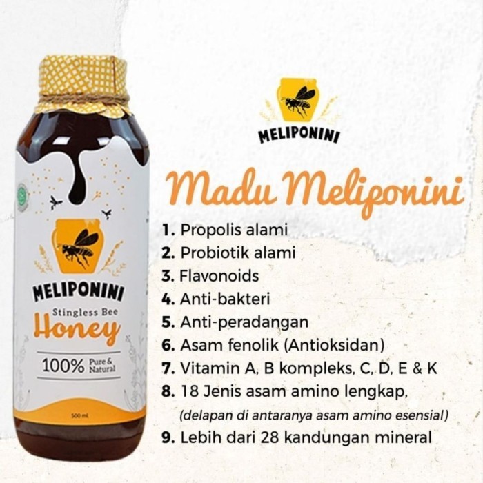 

Ready Meliponini Stingless Bee Honey Madu 100% Asli Organik Daily 500ML