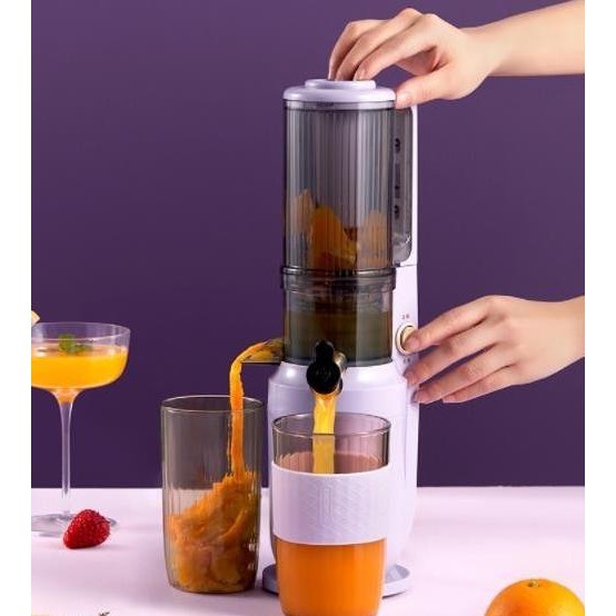 [New] Dafa - Youpin Daewoo Household Electric Slow Juicer