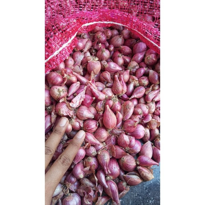 

bawang merah
