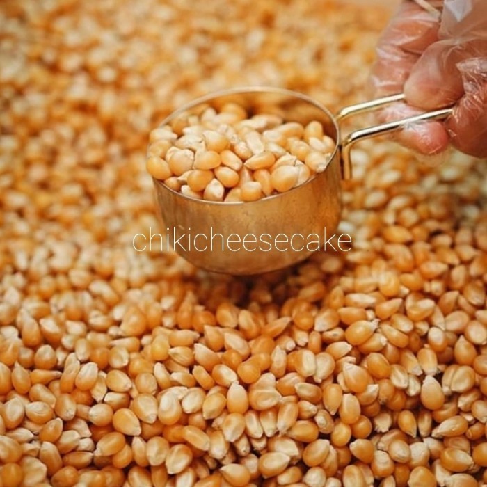 

HEMAT JAGUNG POPCORN 1 KG PREMIUM NON GMO MENTAH / RAW