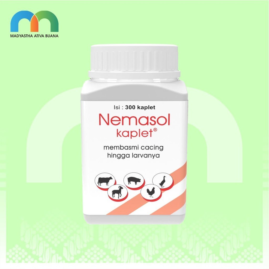 Nemasol-K 300 Kpl Medion Obat Cacing Hewan Besar