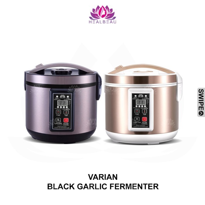 Black Garlic Fermenter Mesin Fermentasi Bawang Hitam Tunggal