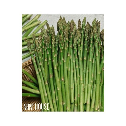 BIJI BIBIT BENIH ASPARAGUS