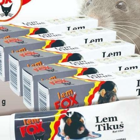 

Lem Tikus Tube 75 Gram Bundling 6 Pcs