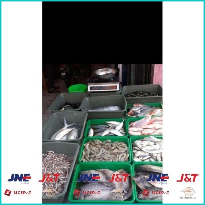 

BISMILLAH IKAN GABUS SEGAR 1KG (BUKAN FROZEN) FREE DIBERSIHKAN GRATIS MINYAK GORENG 1LITER ALISUP