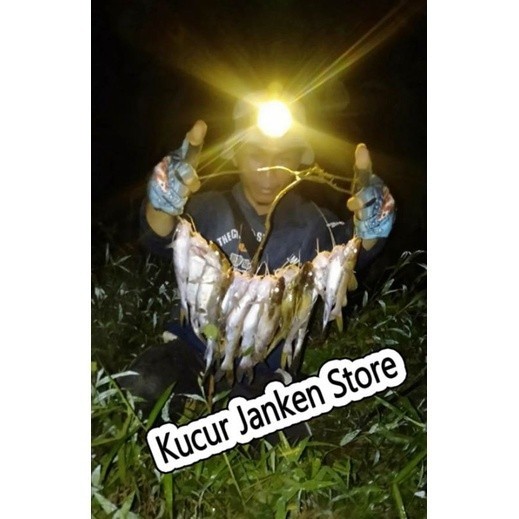 Kucur 1Kg Umpan Ikan Baung Mancing Baung Umpan Fermentasi Kingkucur