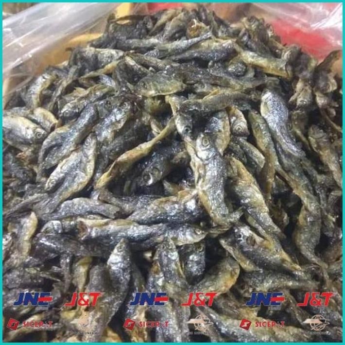 

BISMILLAH IKAN BILIH IKAN DANAU BILI TAWAR 250GR ALISUP