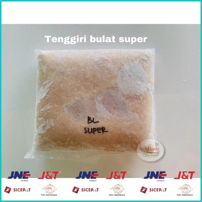 

BISMILLAH IKAN GILING TENGGIRI SUPER (BULAT/JANTAN) ALISUP