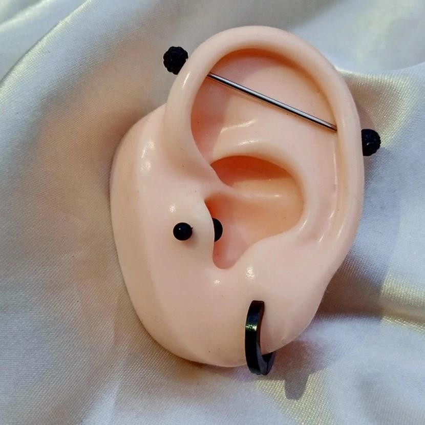 

we-53 Alat Bantu Mengajar Bahan Silikon Model Telinga Manusia 1: 1 Dapat Display Earphone/Perhiasan Viral