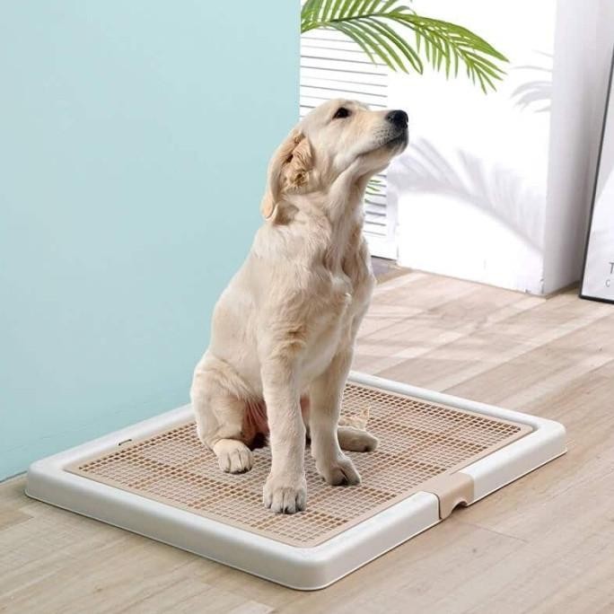 Pet Toilet Training Dog Large - Tempat Pipis Poop - Pee Tray Dog L