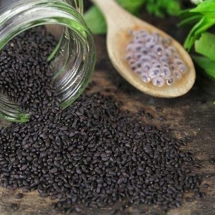 

BIJI SELASIH PREMIUM 1KG CS