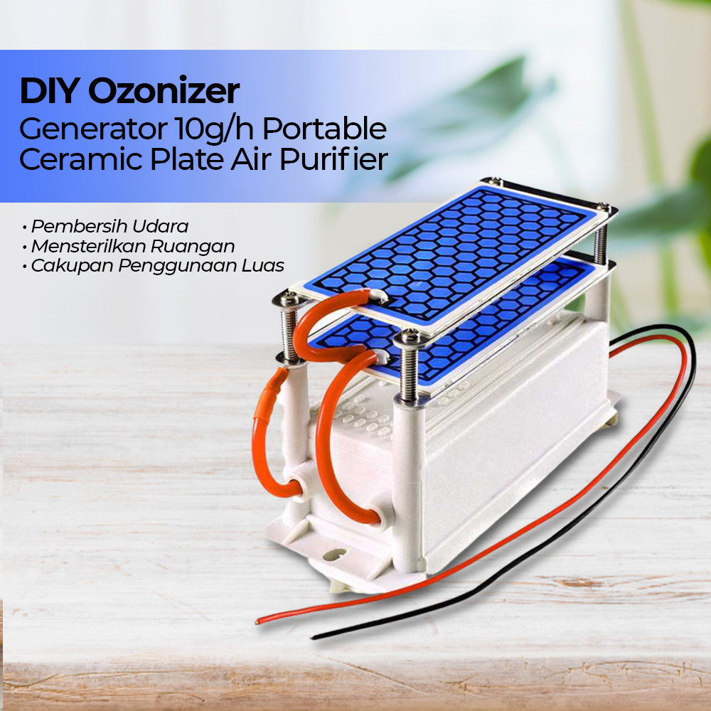 HM- Ozonizer DIY Ozone Generator 10g/h Portable Ceramic Plate Air Purifier - AC220V10gC /air purifie