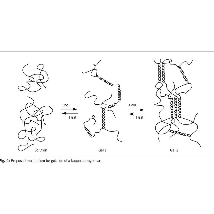 

rt-69 Carrageenan Karagenan KRI 02 - Tepung pengenyal bakso/pentol/sosis/nugget/pempek/otak-otak (200g) Original