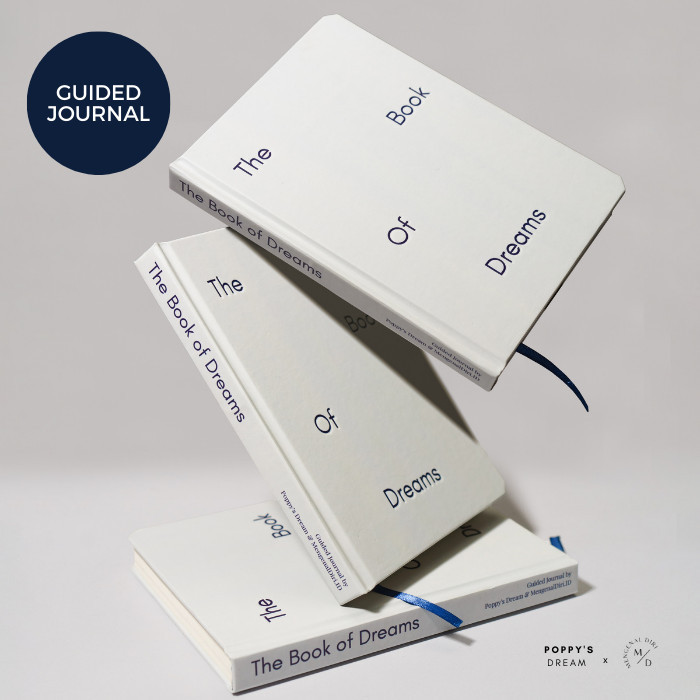 

The Book of Dreams Dream Planner Journal Guided Worksheet