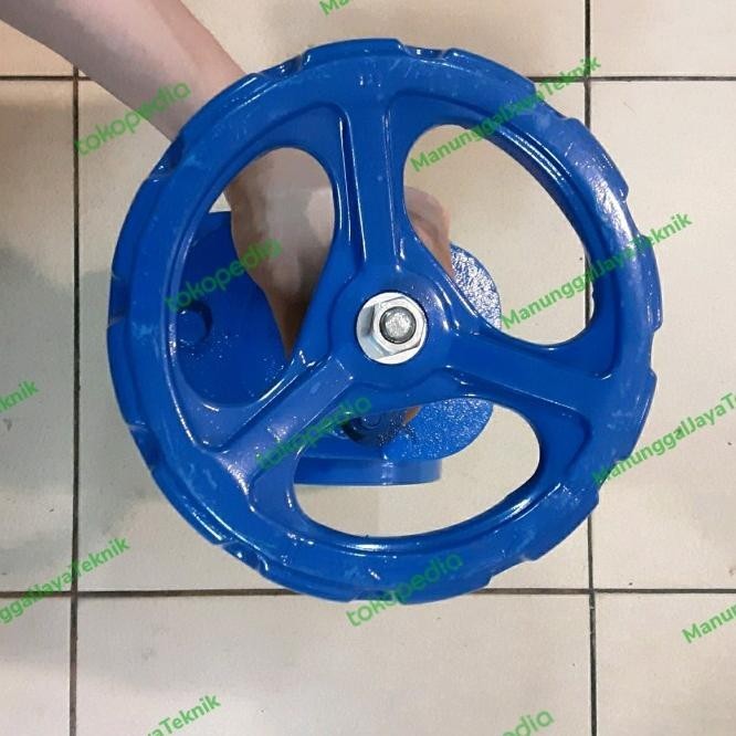 Gate Valve 3" Inch Jis 10K Cast Iron