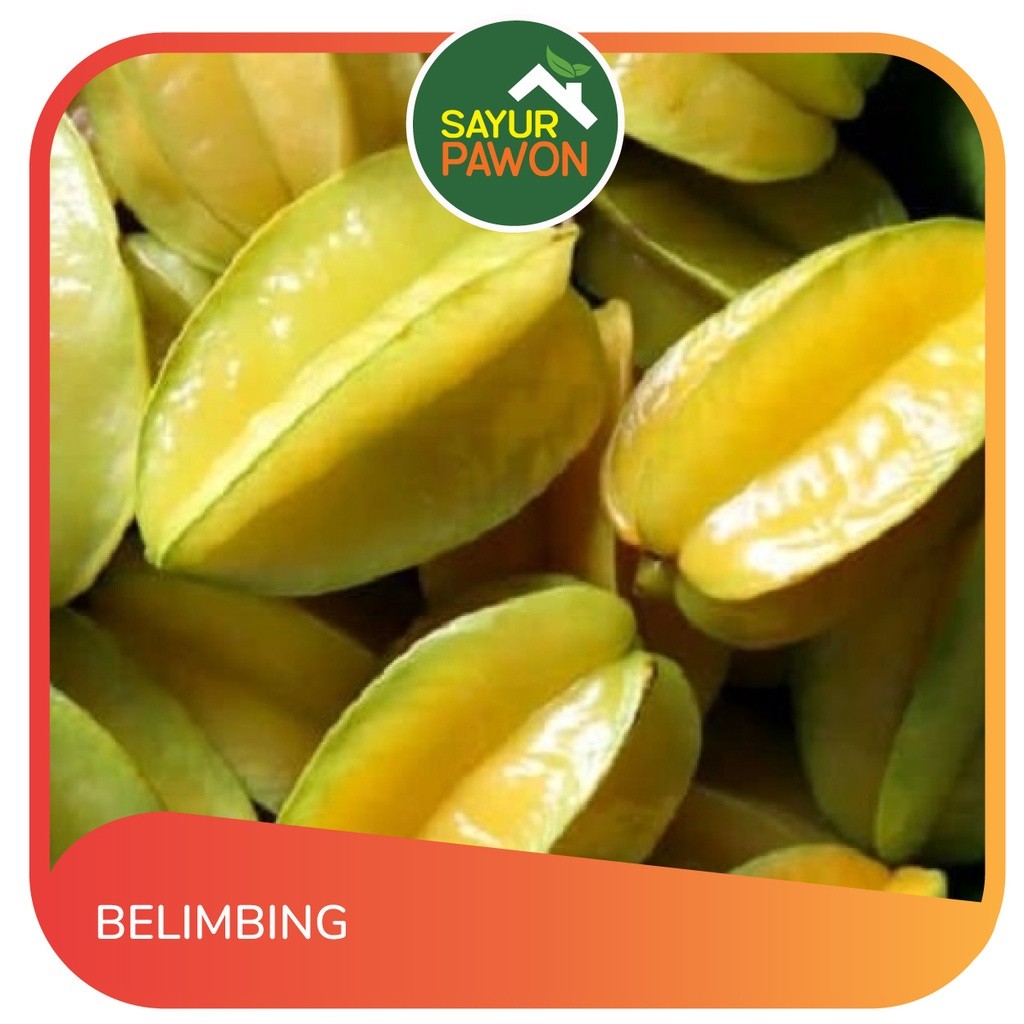 

Buah Belimbing per Kg