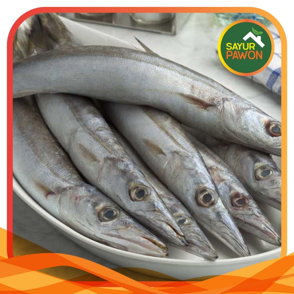 Ikan Barakuda / cucut 500 gram ( ikam segar jogja )