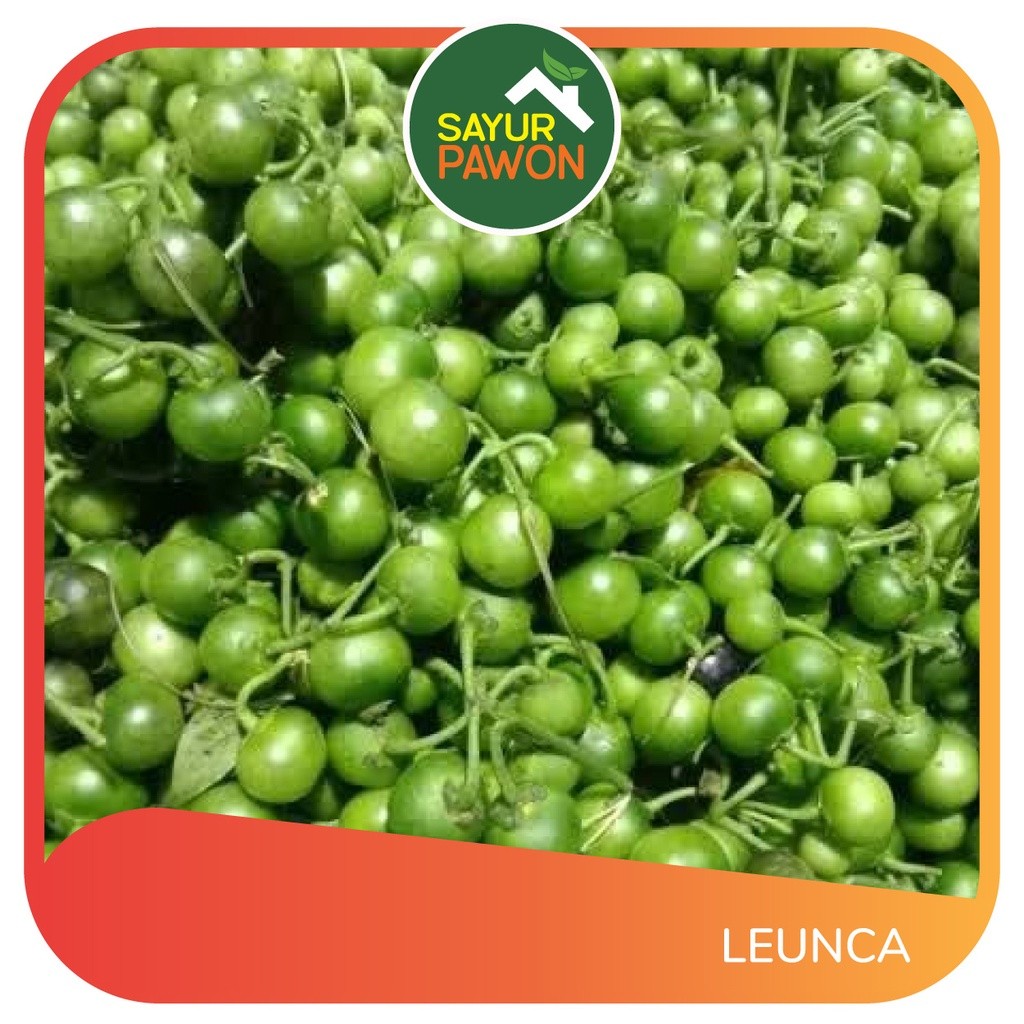 

Sayur Leunca / 250gr ( sayur pasar tradisional)