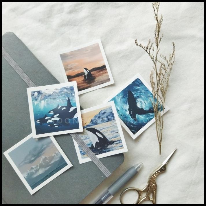 

DISKON WHALES STICKER PACK !!!!!