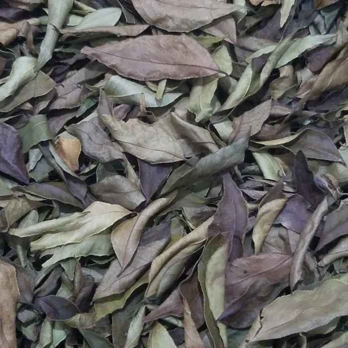 

Produk Unggulan] DAUN KARI KERING 100G / Daun Salam Koja Kering