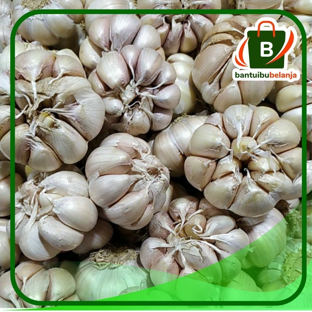 

Bawang Putih Utuh per Kilogram