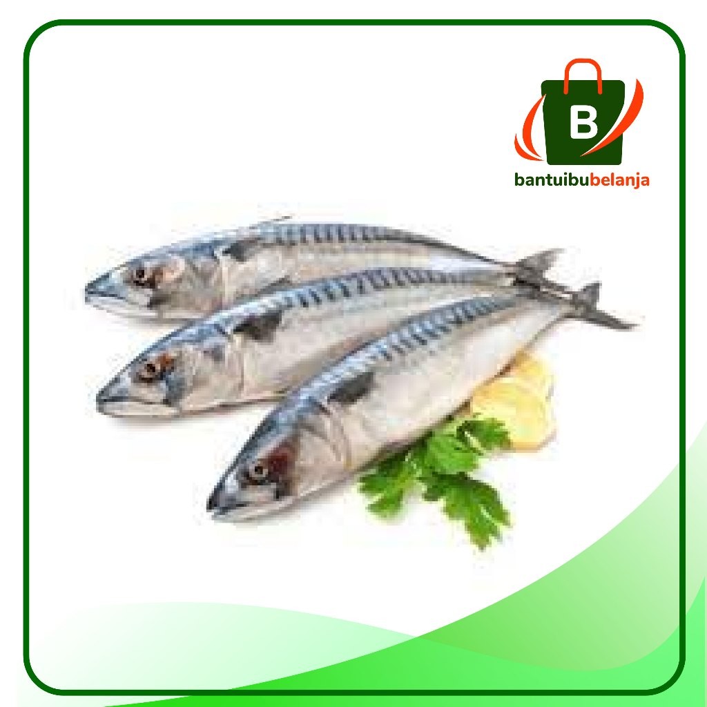 

Ikan Tenggiri / 500 gr ( produk pasar tradisional )